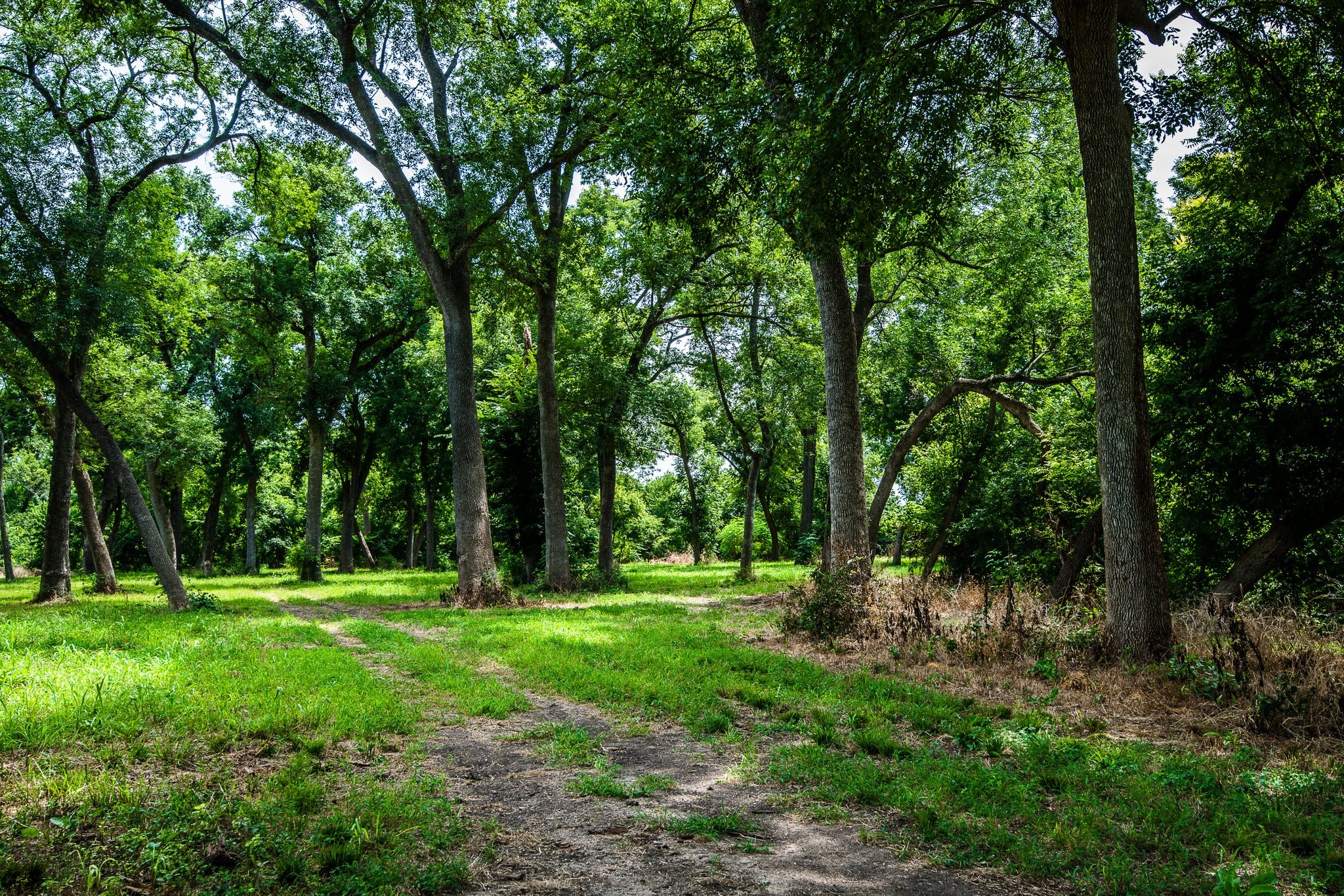 000 Pigg Road Waxahachie TX 75165