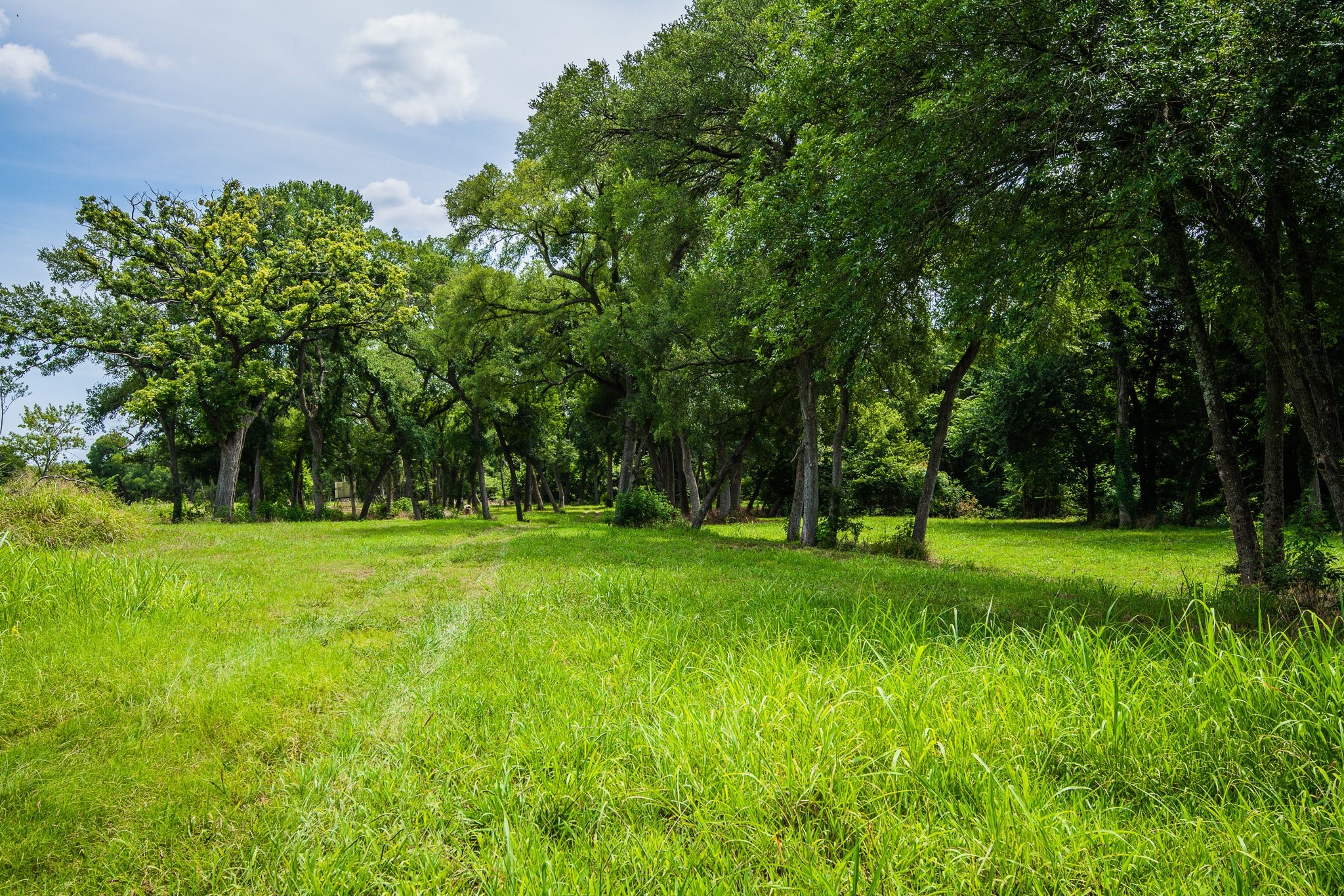 000 Pigg Road Waxahachie TX 75165