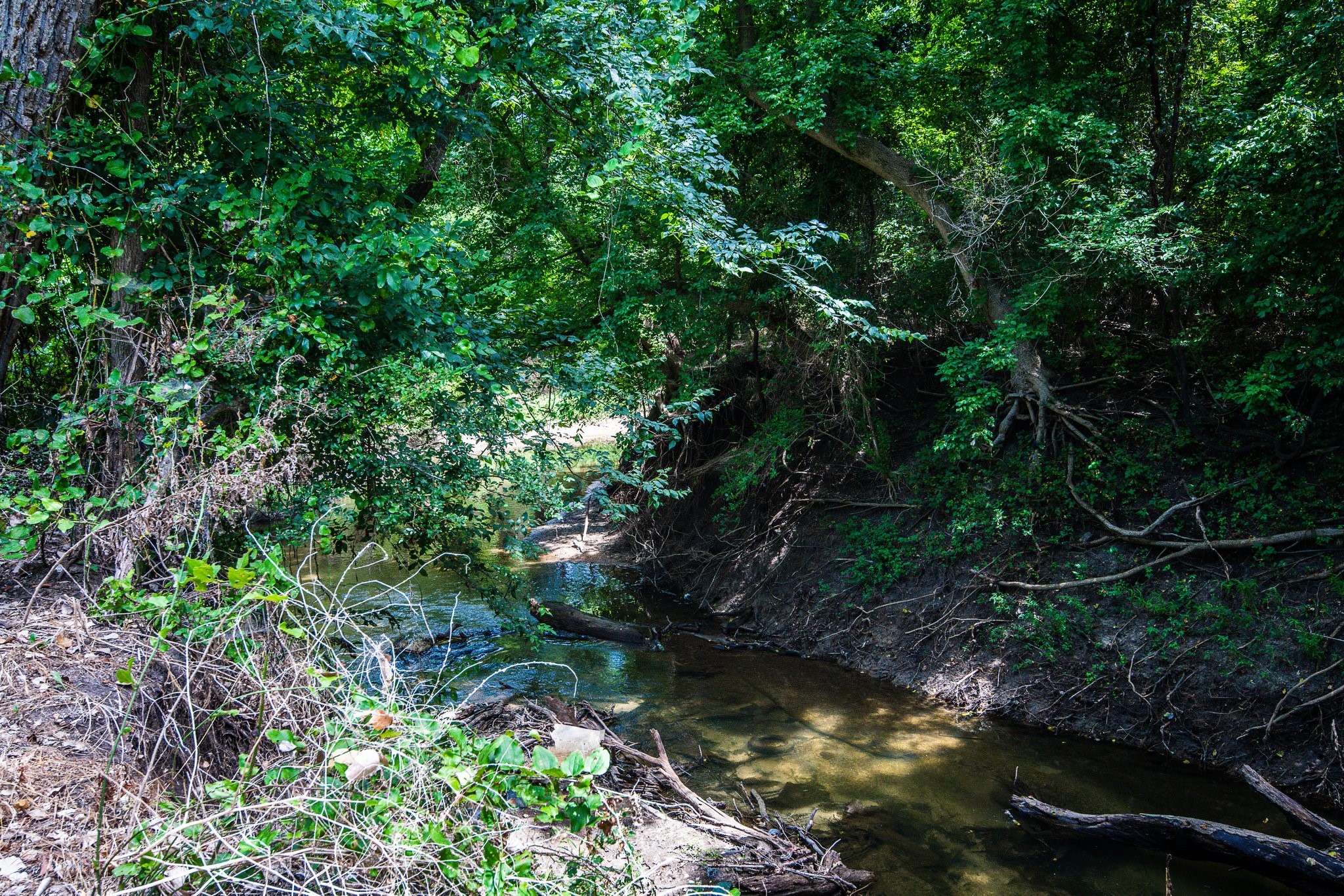 000 Pigg Road Waxahachie TX 75165