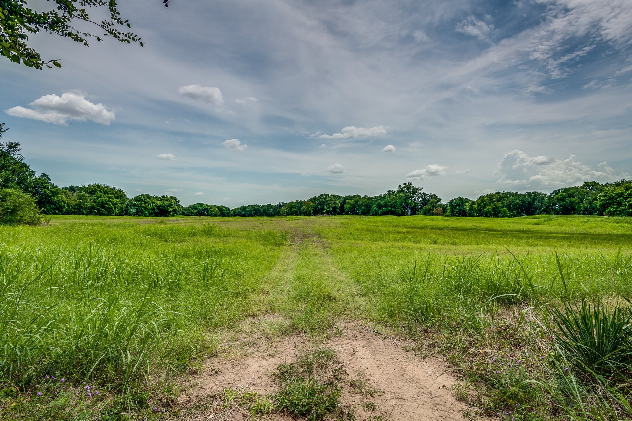 000 Pigg Road Waxahachie TX 75165