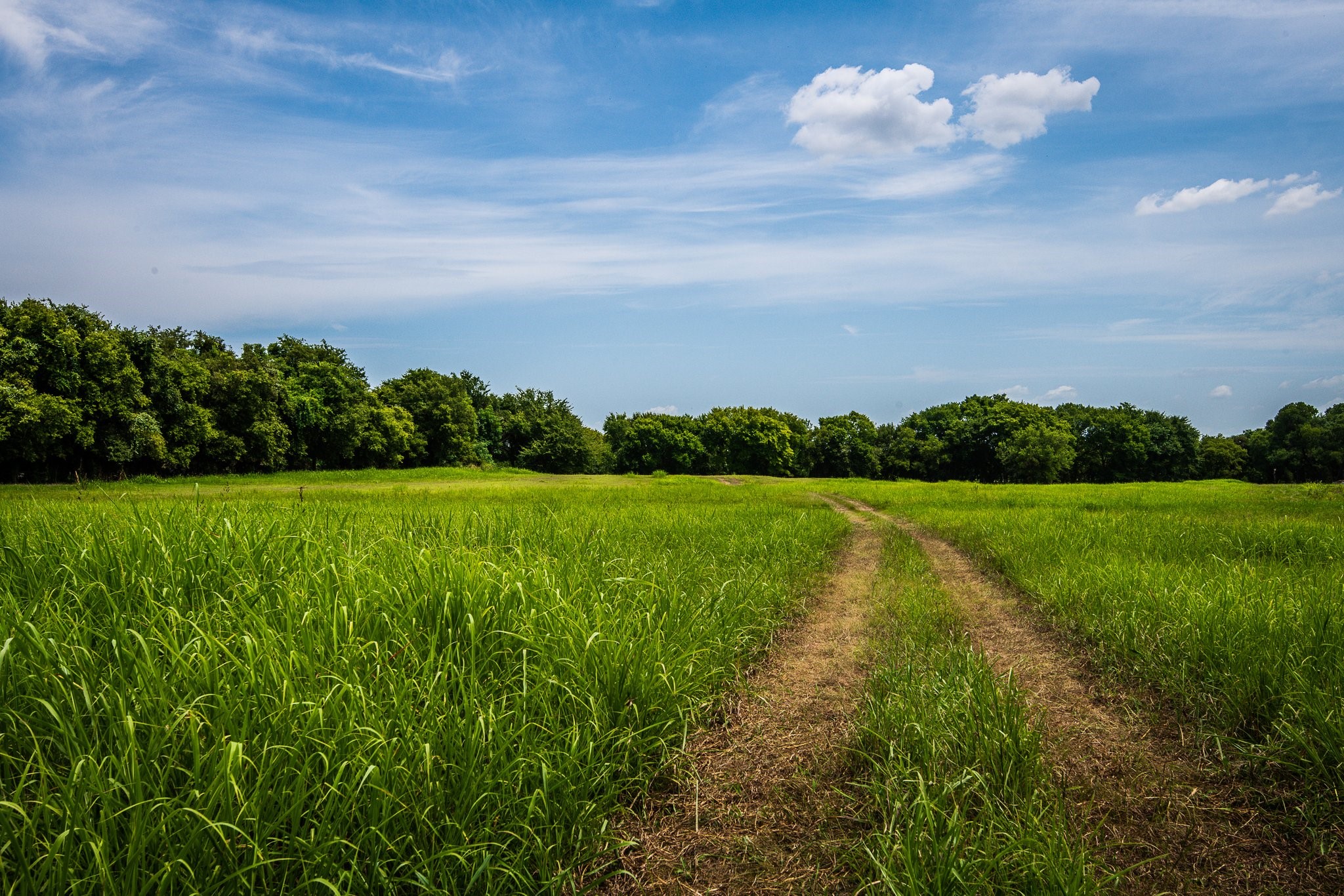 000 Pigg Road Waxahachie TX 75165