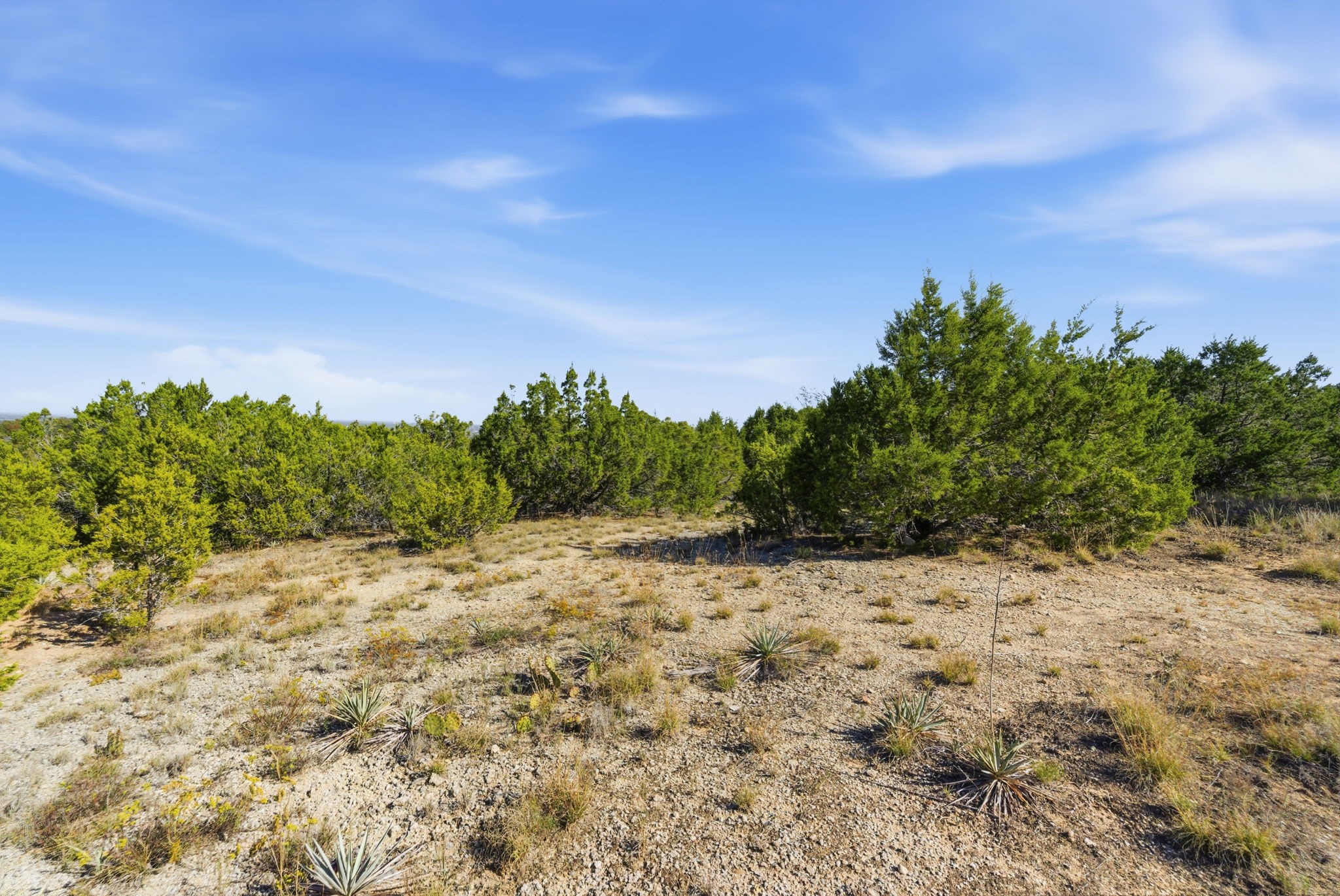 1936 Sterling Road Granbury TX 76048