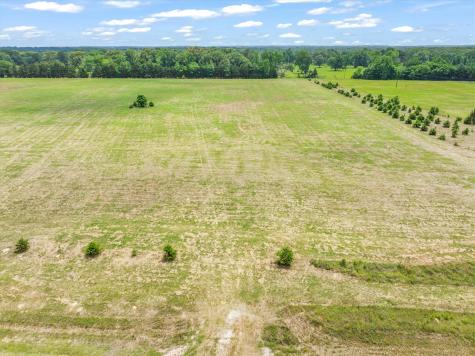 TBD Vz County Road 4912 Van TX 75790