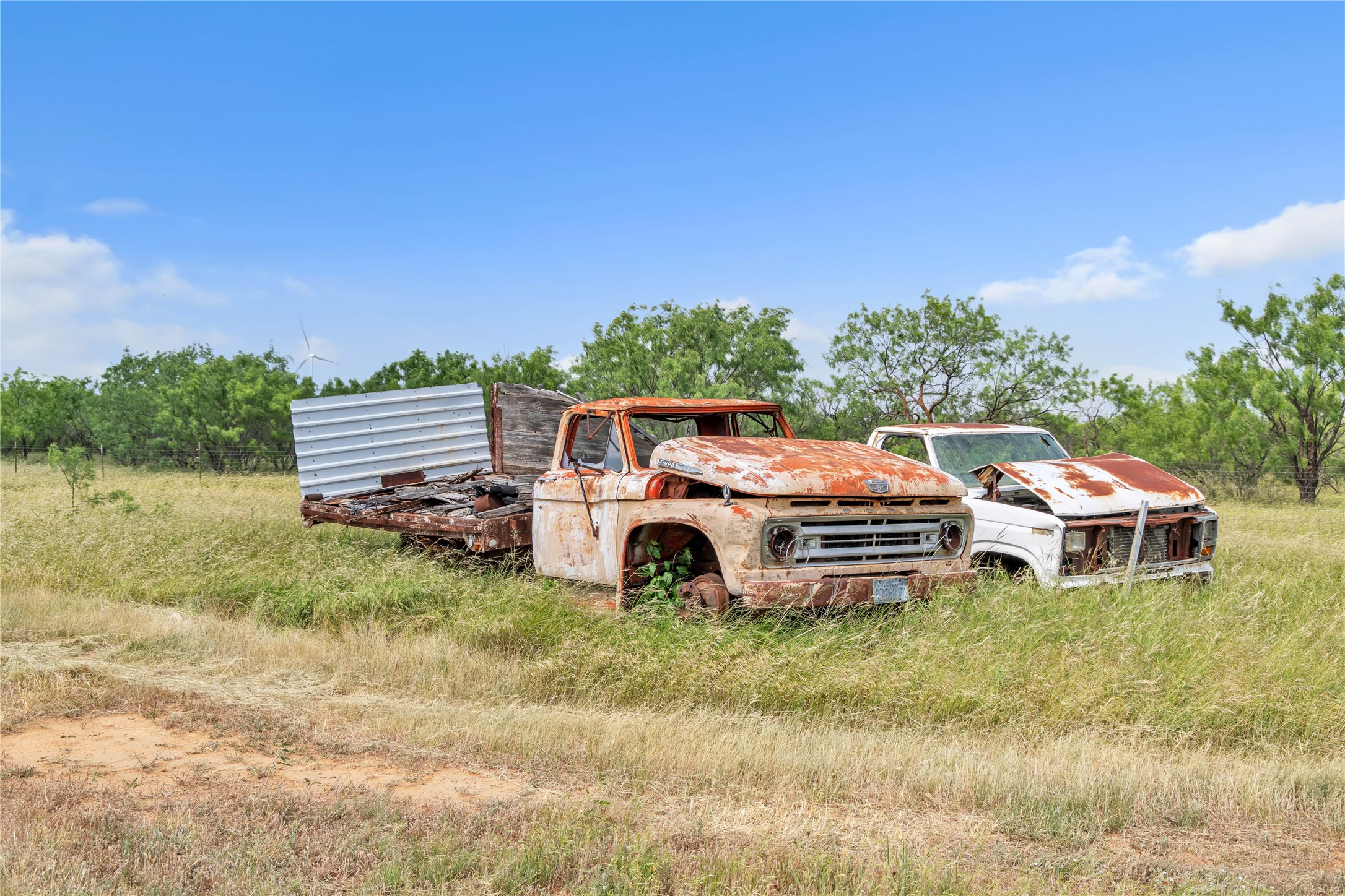 14175 State Highway 6 Moran TX 76464