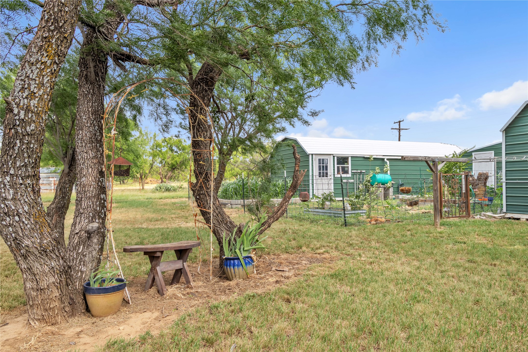 14175 State Highway 6 Moran TX 76464