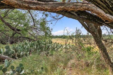 14175 State Highway 6 Moran TX 76464