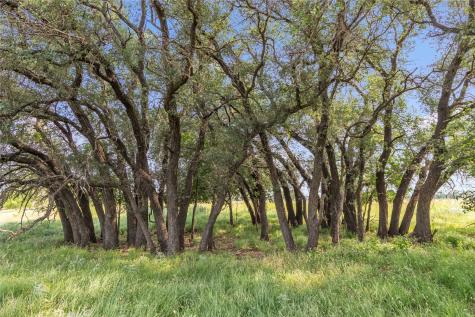 14175 State Highway 6 Moran TX 76464