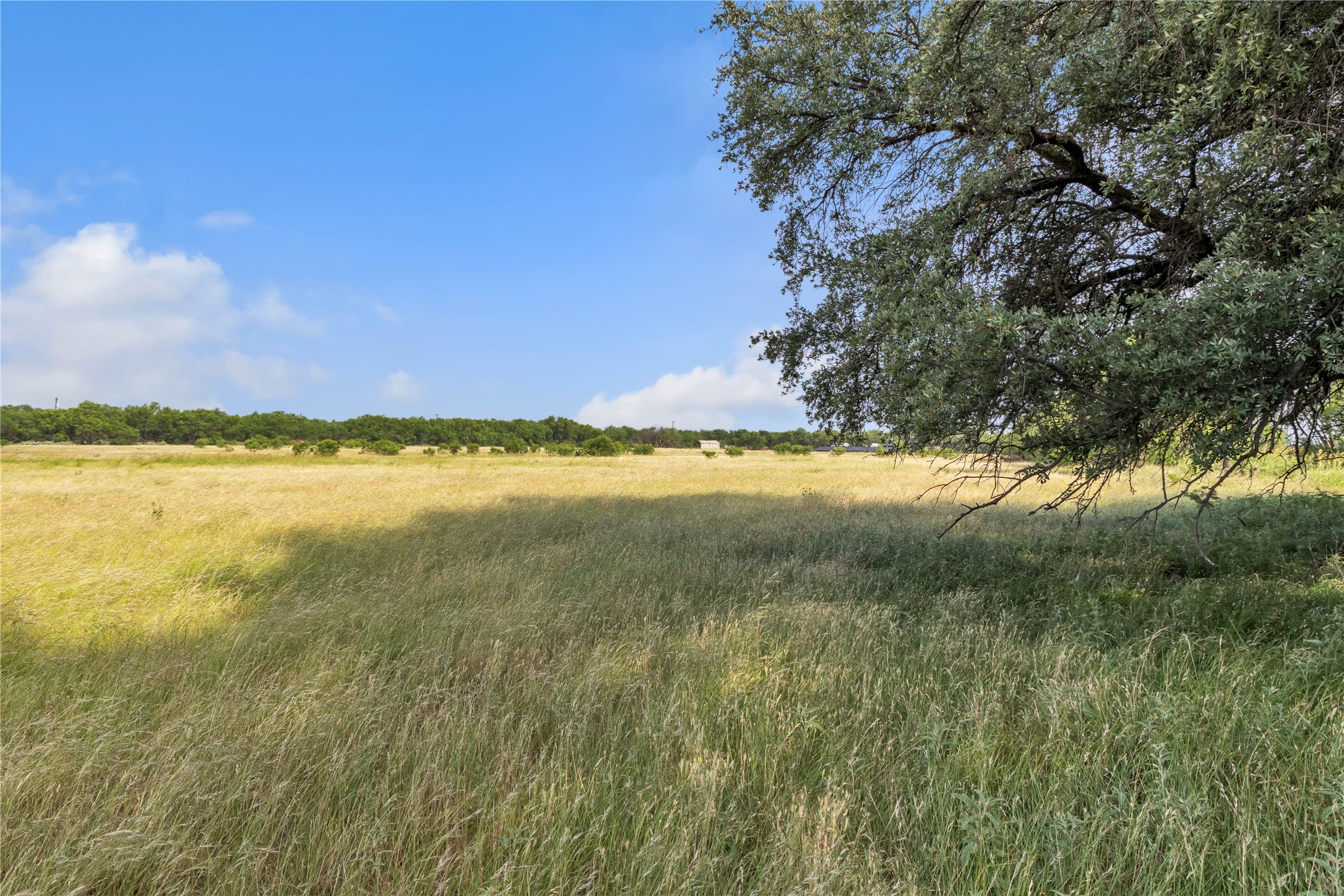 14175 State Highway 6 Moran TX 76464