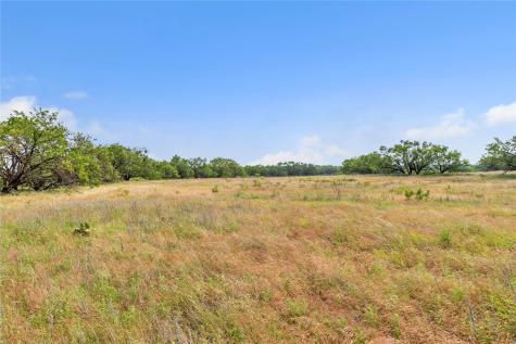 14175 State Highway 6 Moran TX 76464