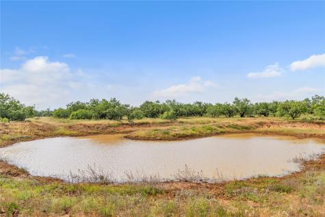 14175 State Highway 6 Moran TX 76464