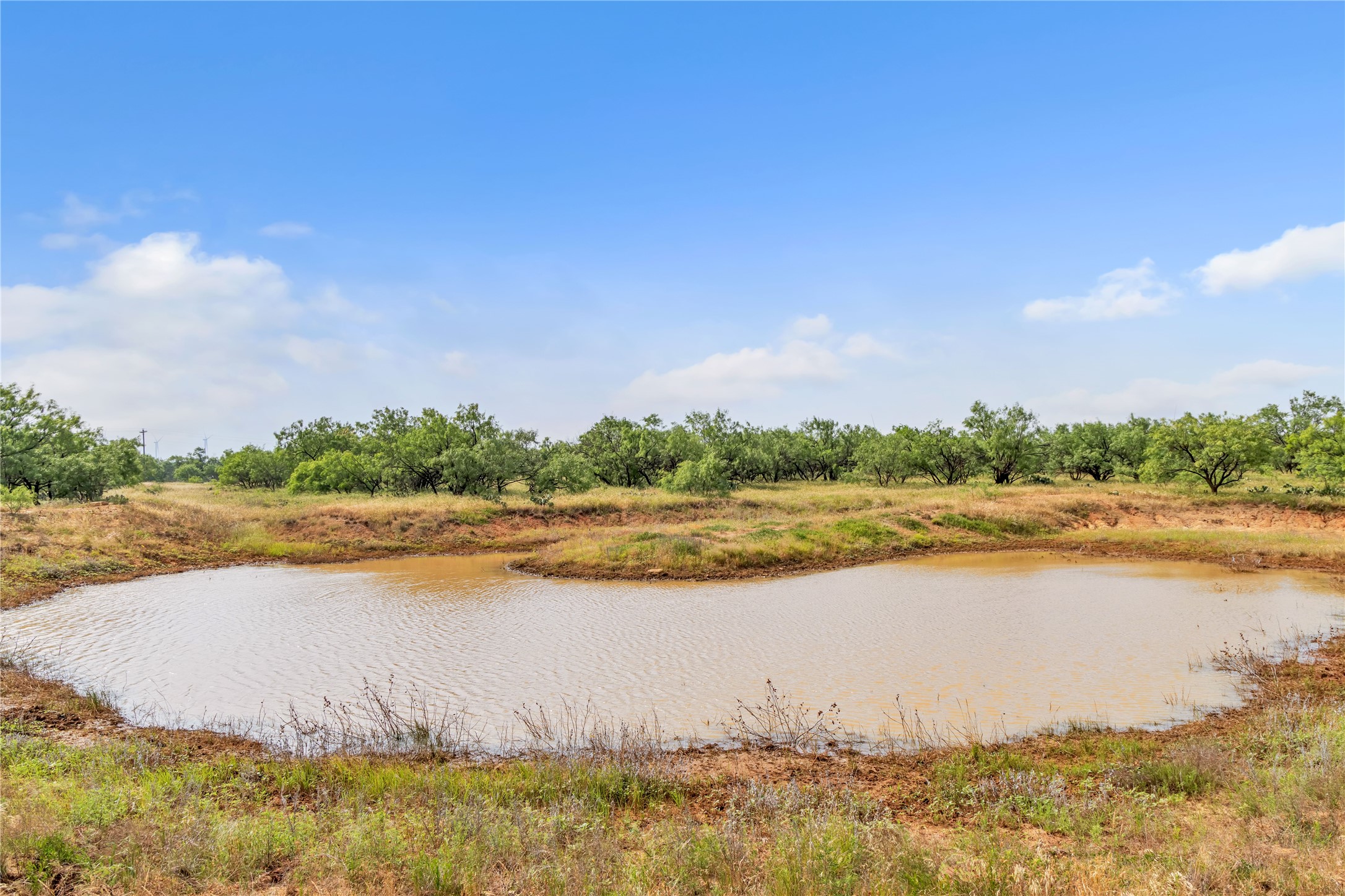 14175 State Highway 6 Moran TX 76464