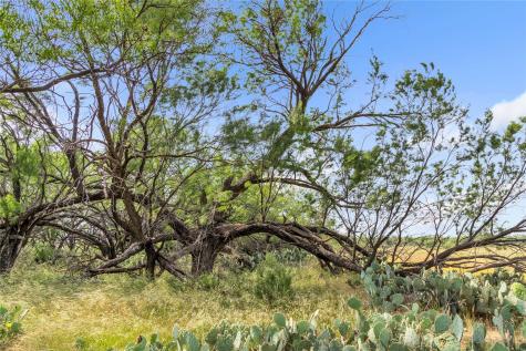 14175 State Highway 6 Moran TX 76464