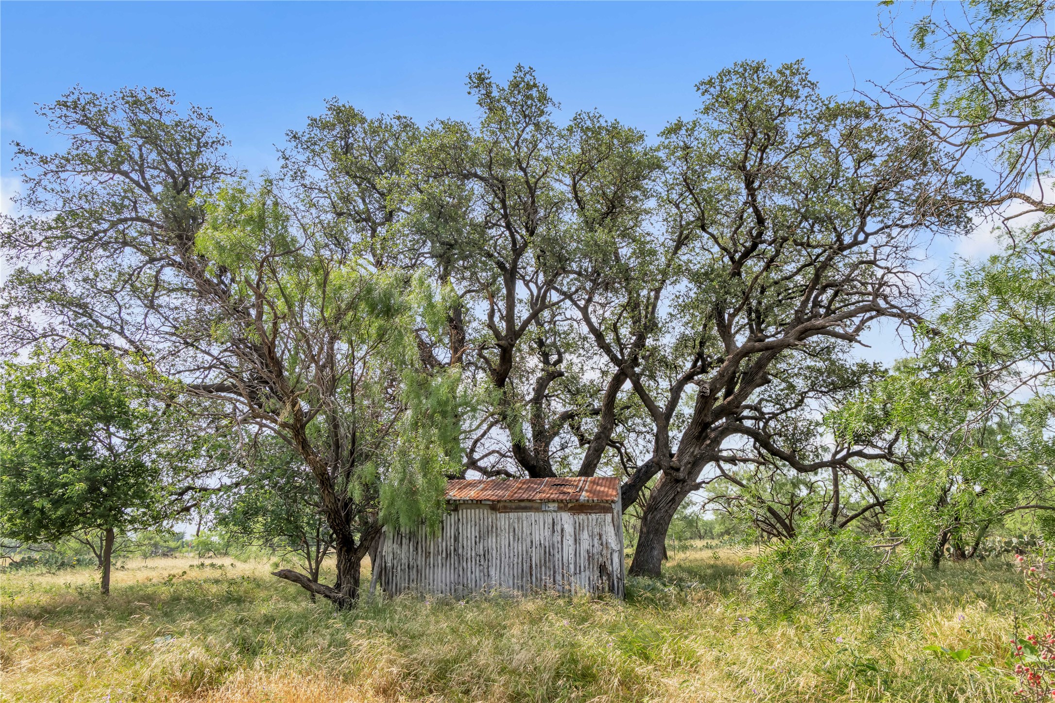 14175 State Highway 6 Moran TX 76464