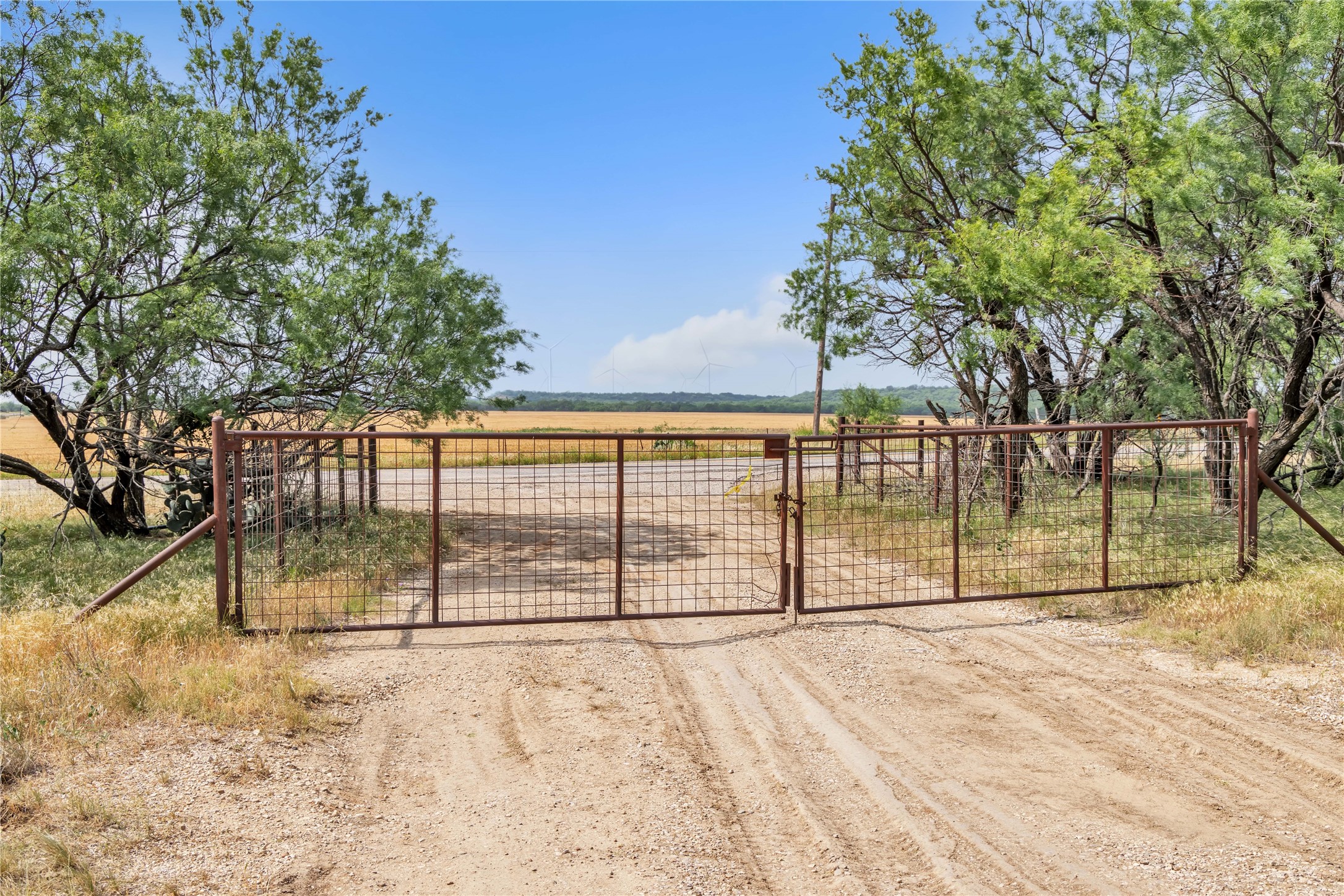 14175 State Highway 6 Moran TX 76464