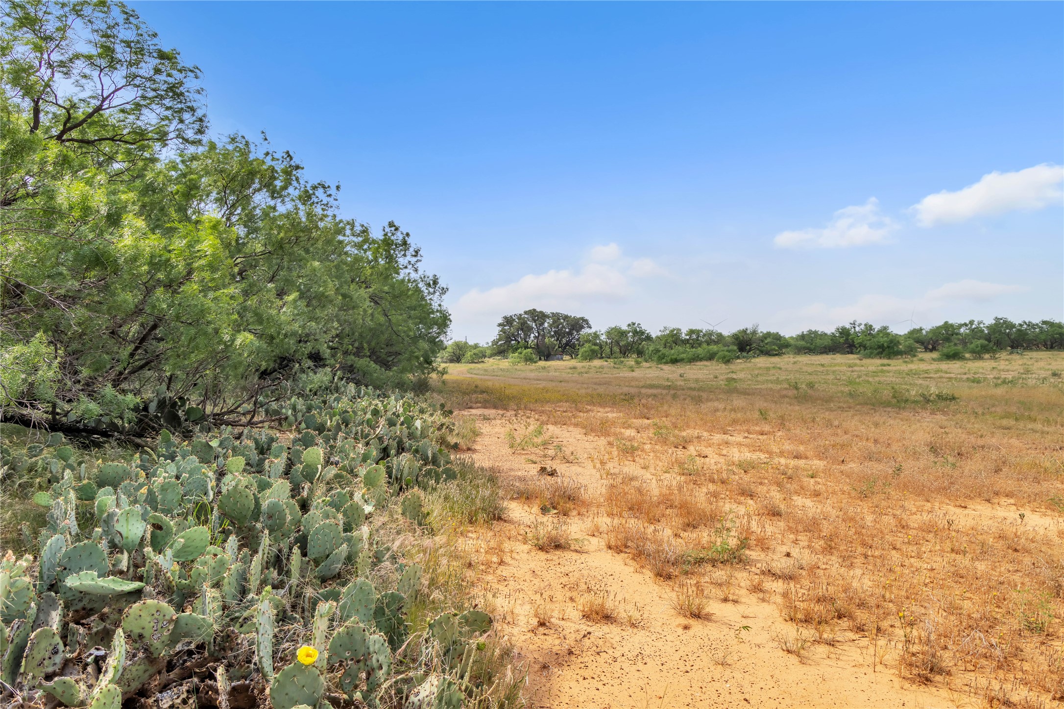 14175 State Highway 6 Moran TX 76464