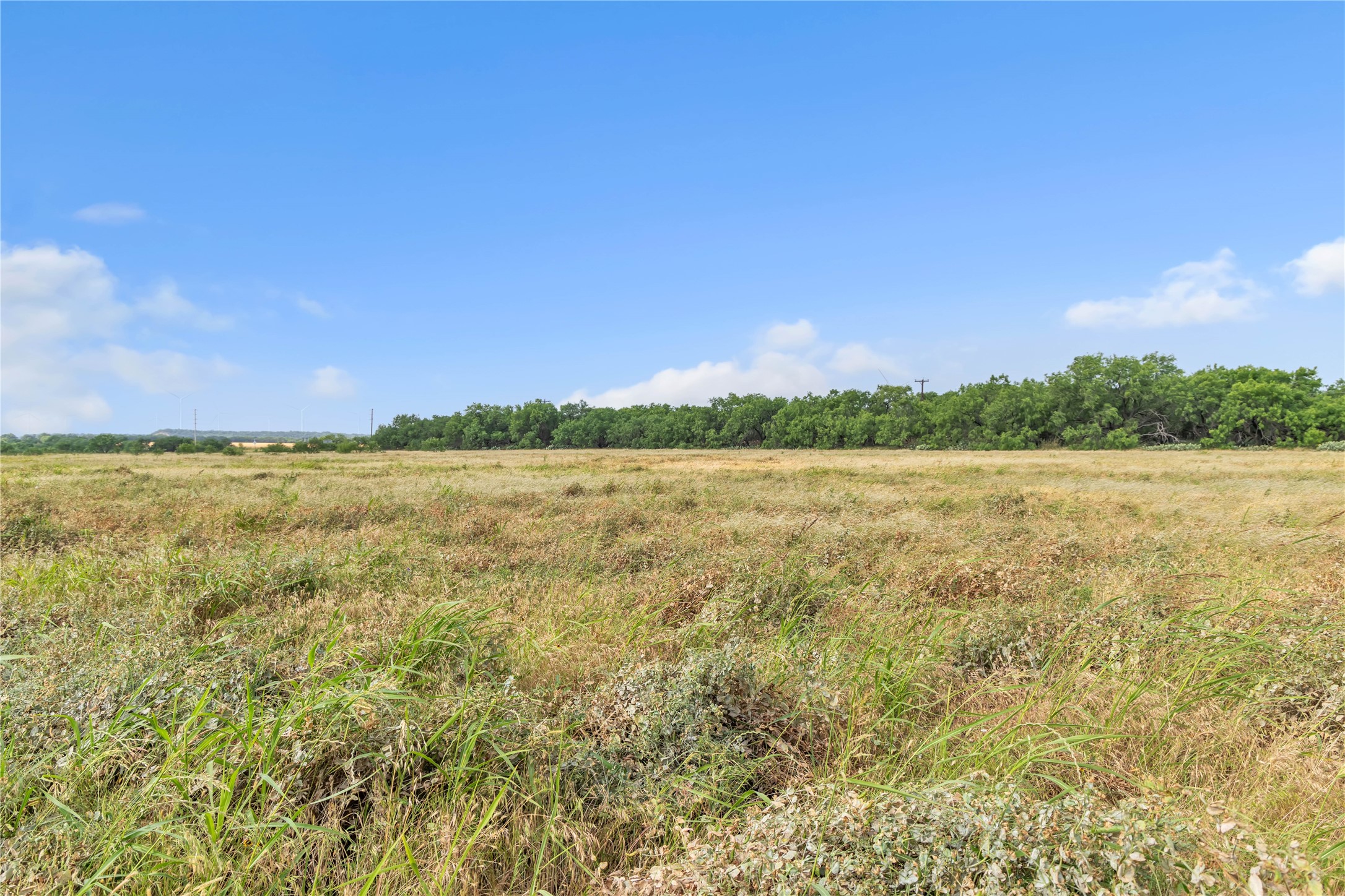 14175 State Highway 6 Moran TX 76464
