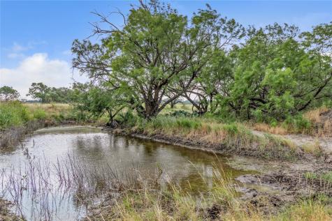 14175 State Highway 6 Moran TX 76464