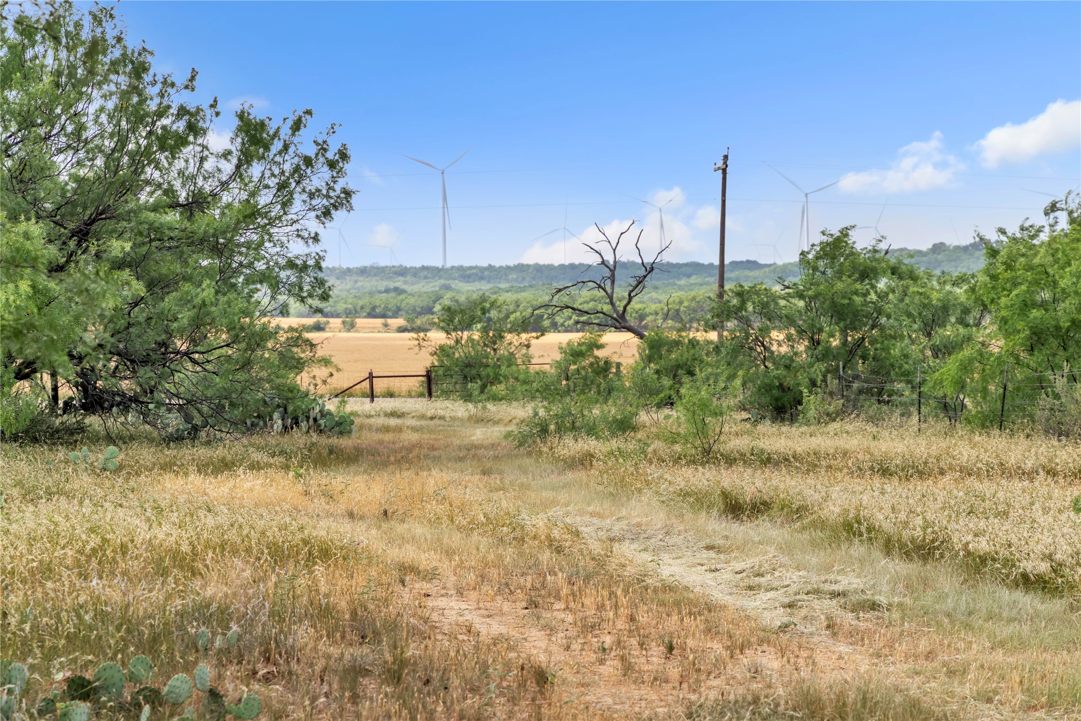 14175 State Highway 6 Moran TX 76464