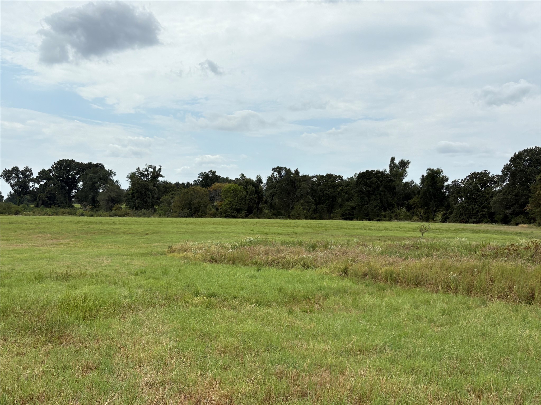 207 County Road 2315 Sulphur Springs TX 75482