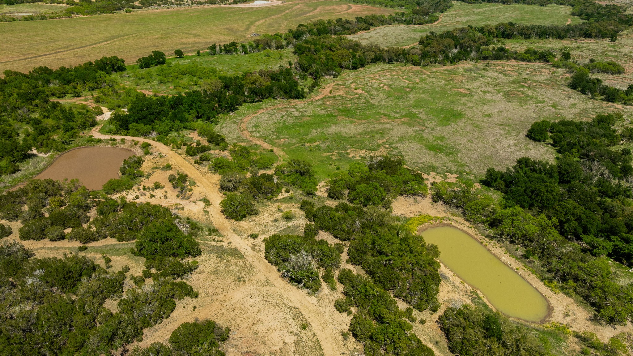 Tbd County Road 120 Coleman TX 76834