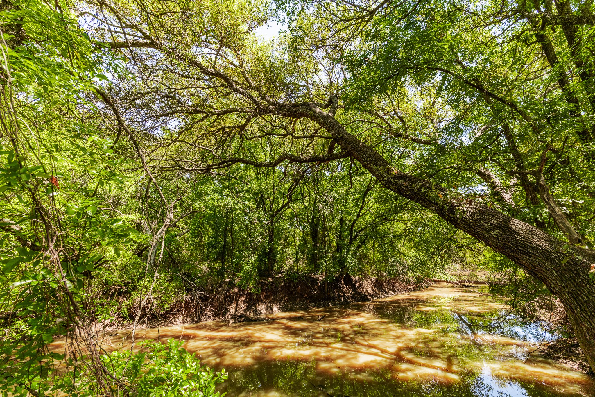 Tbd County Road 120 Coleman TX 76834