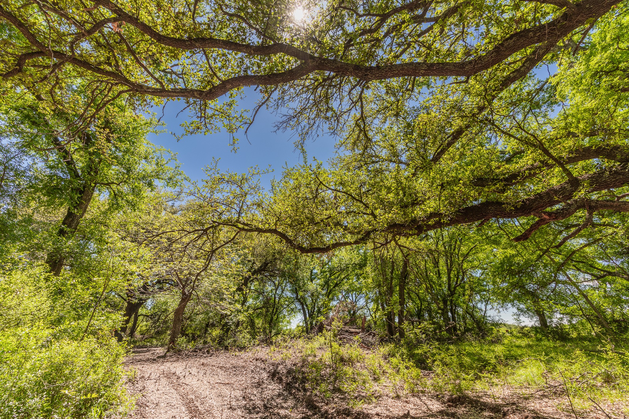 Tbd County Road 120 Coleman TX 76834