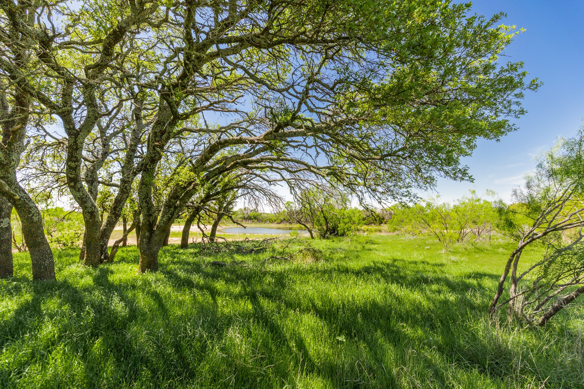 Tbd County Road 120 Coleman TX 76834
