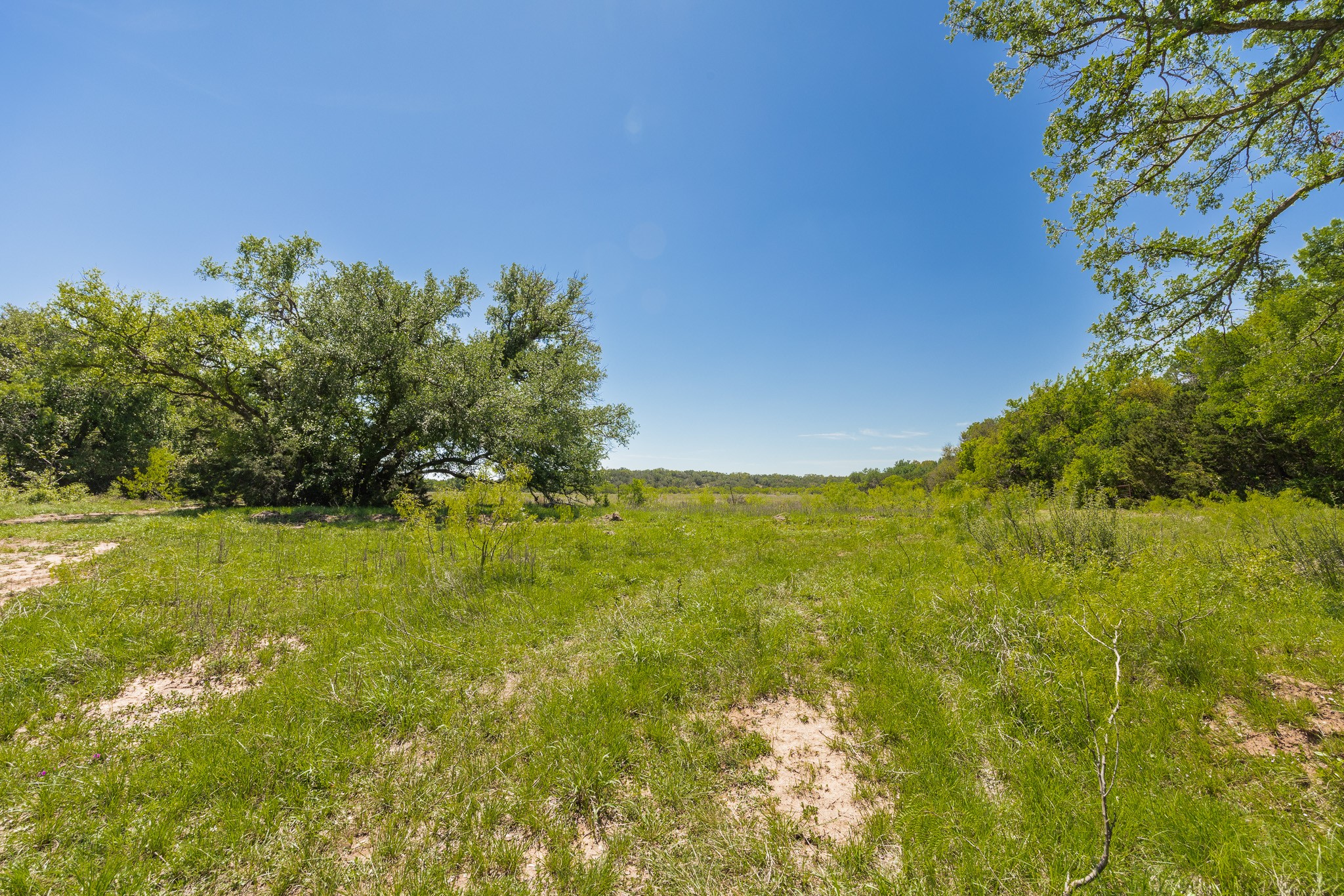 Tbd County Road 120 Coleman TX 76834