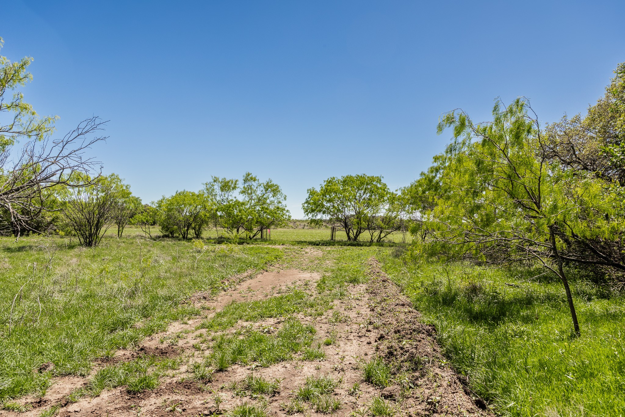 Tbd County Road 120 Coleman TX 76834