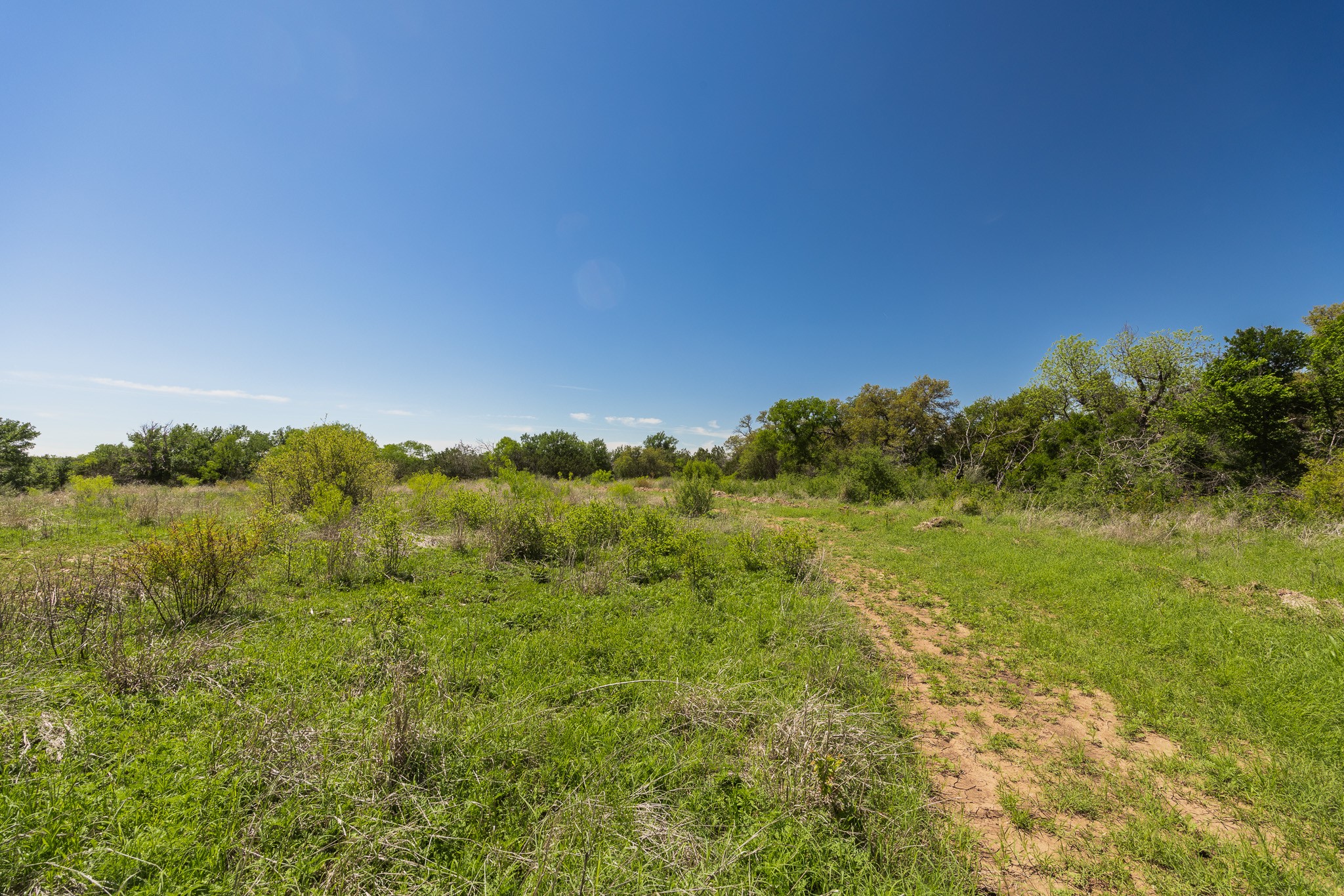 Tbd County Road 120 Coleman TX 76834