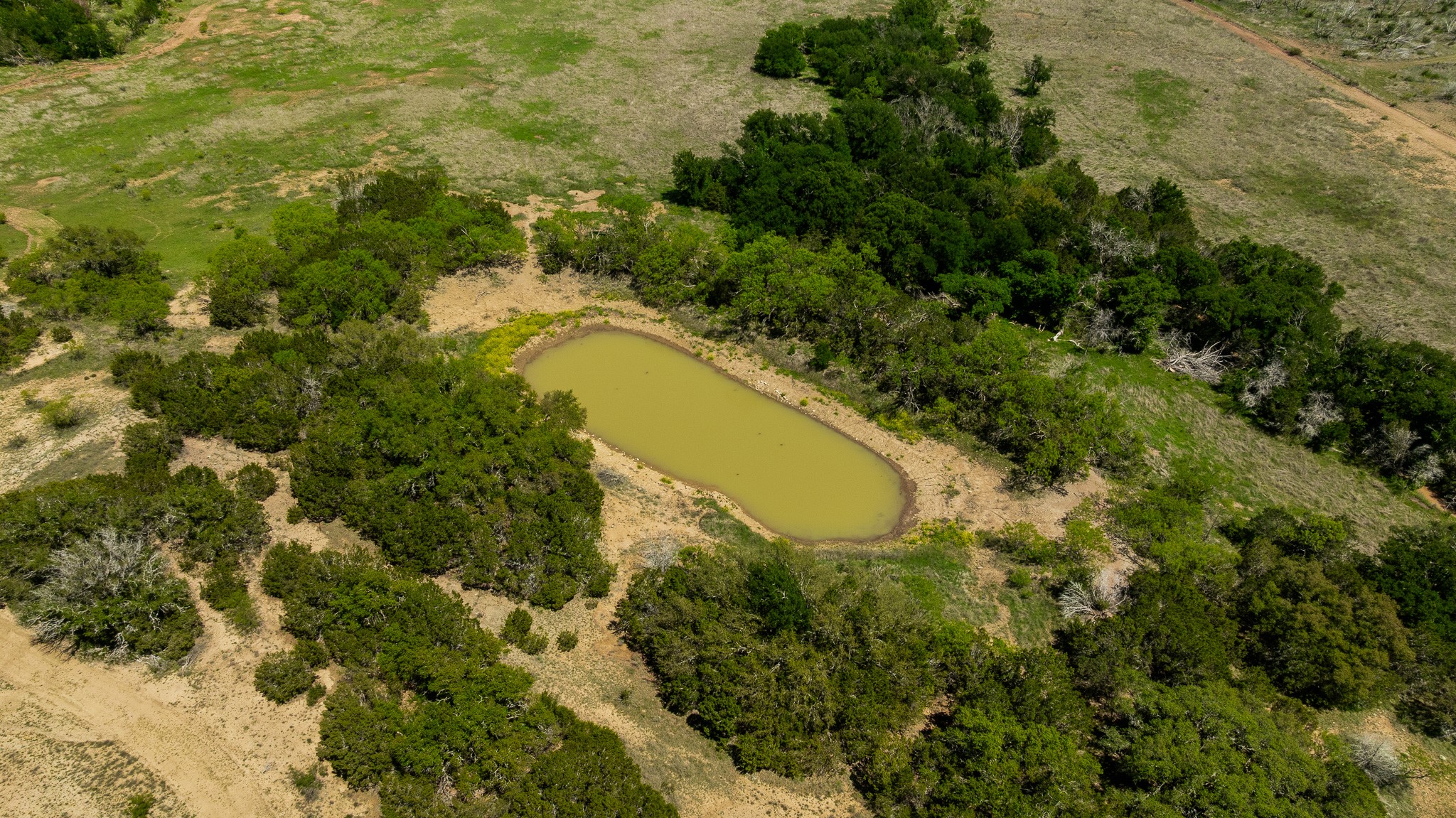 Tbd County Road 120 Coleman TX 76834