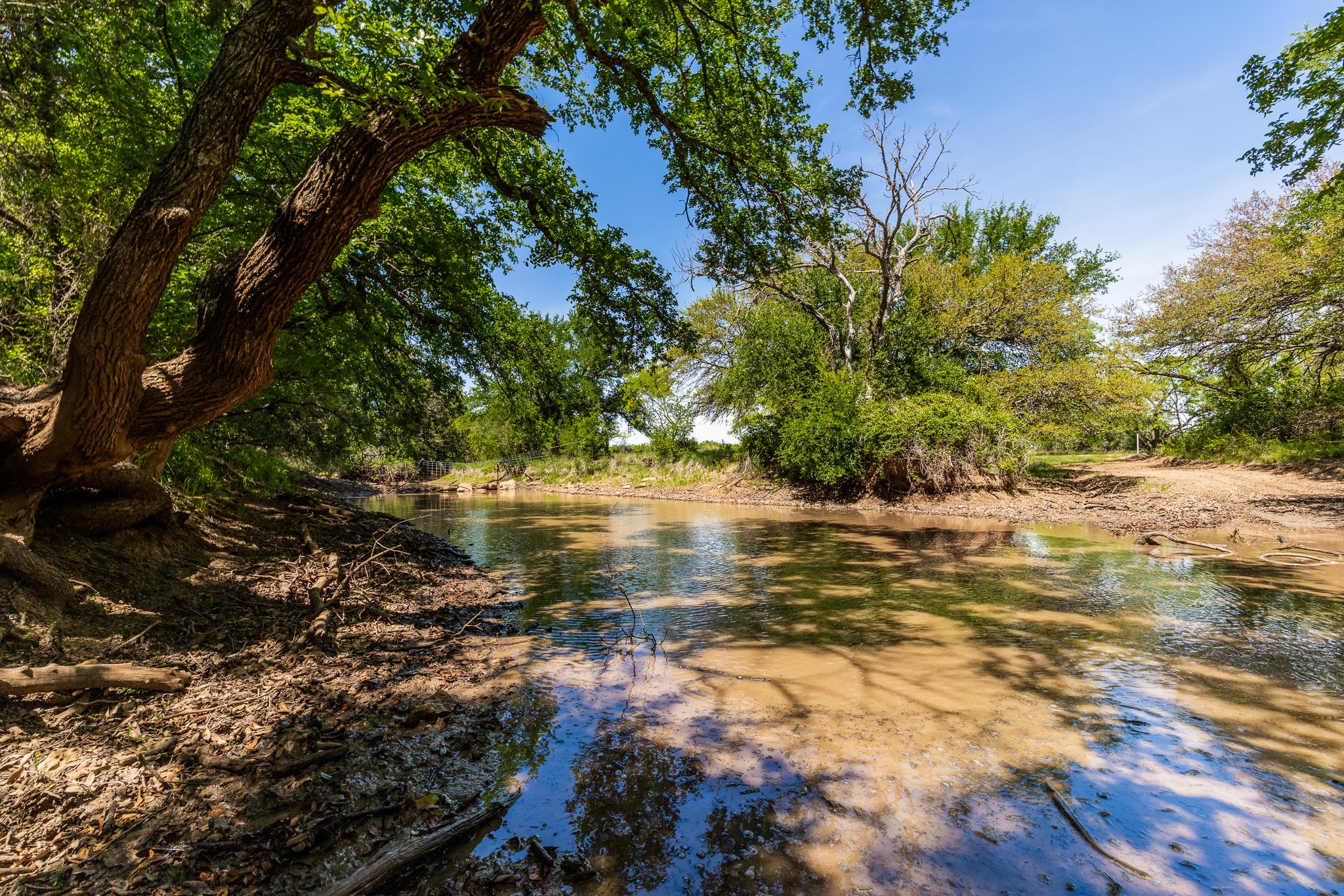 Tbd County Road 120 Coleman TX 76834