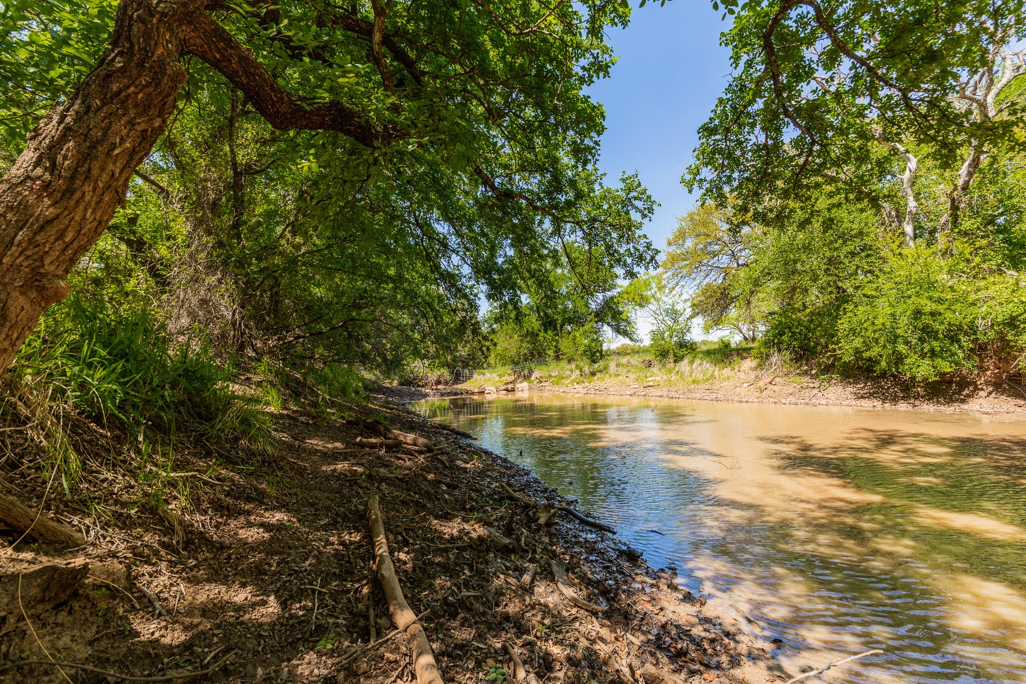 Tbd County Road 120 Coleman TX 76834