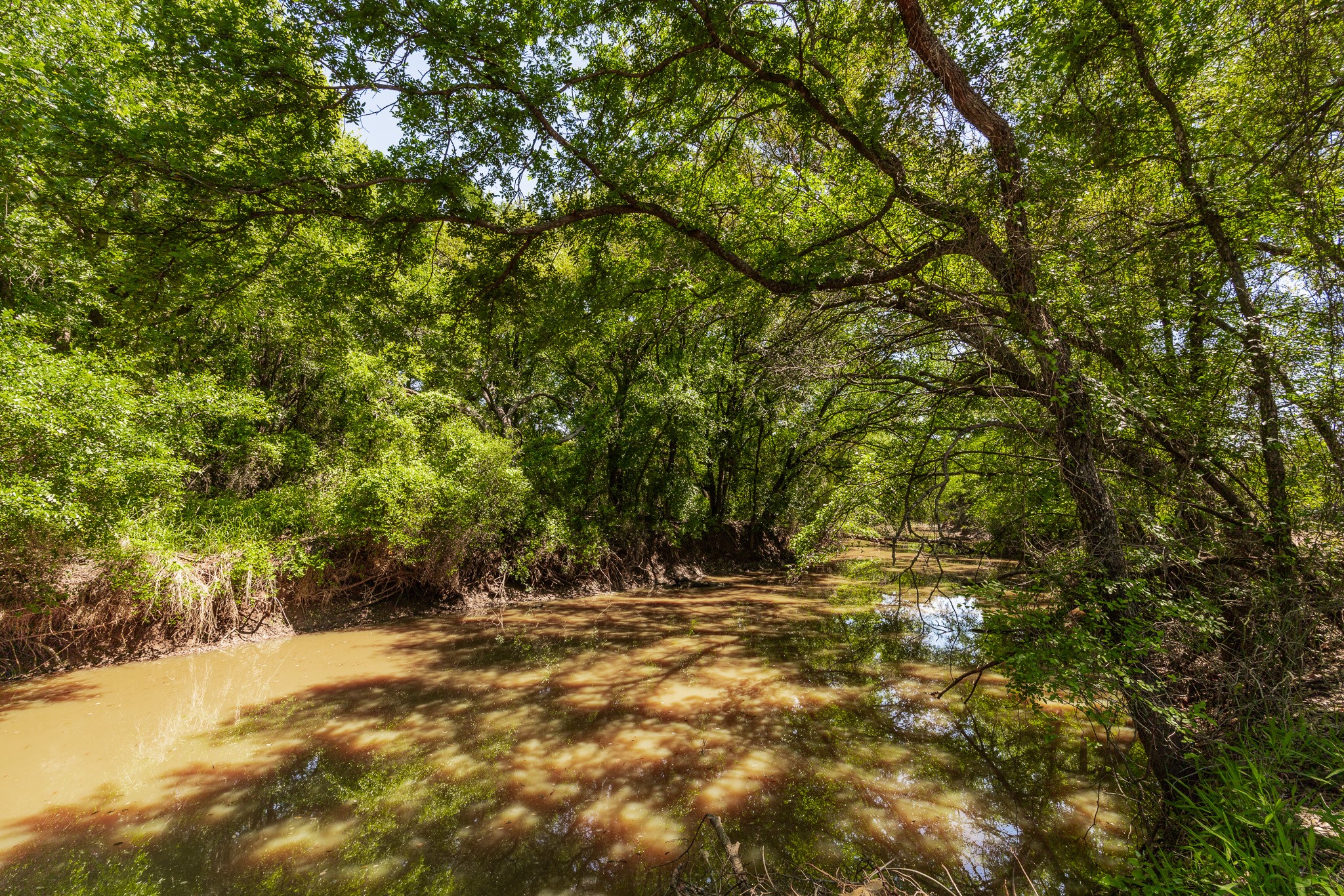 Tbd County Road 120 Coleman TX 76834