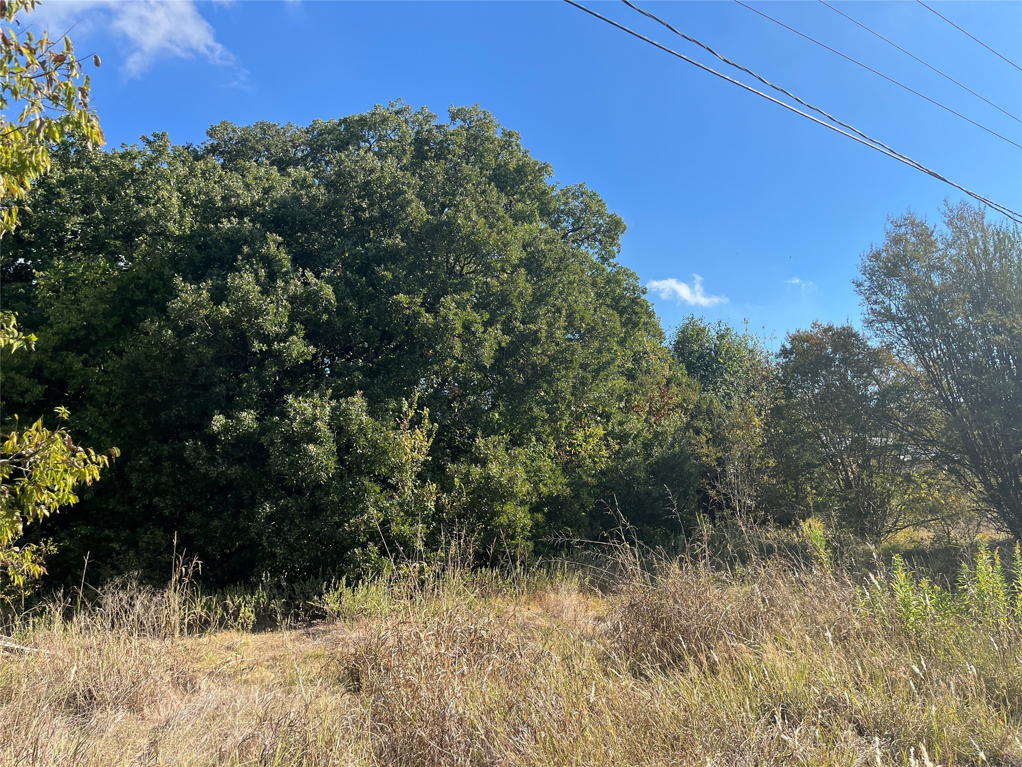 00 Highway 69 Greenville TX 75401