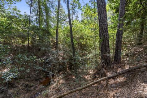37432 Clubhouse Lane Montgomery TX 77355
