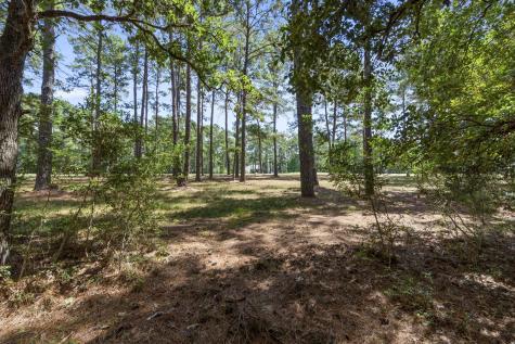 37432 Clubhouse Lane Montgomery TX 77355