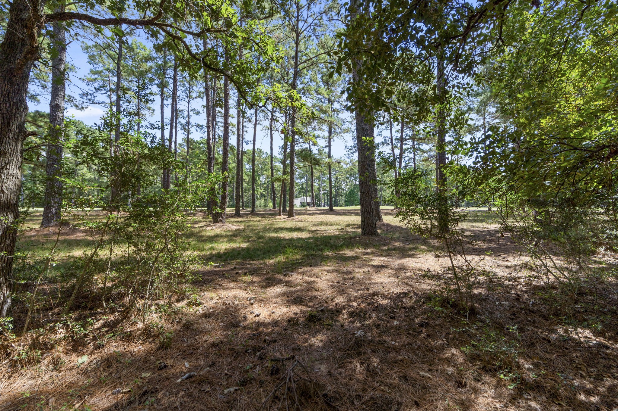 37432 Clubhouse Lane Montgomery TX 77355
