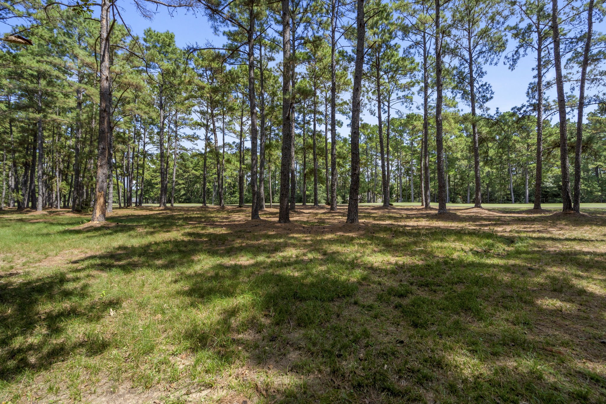 37432 Clubhouse Lane Montgomery TX 77355