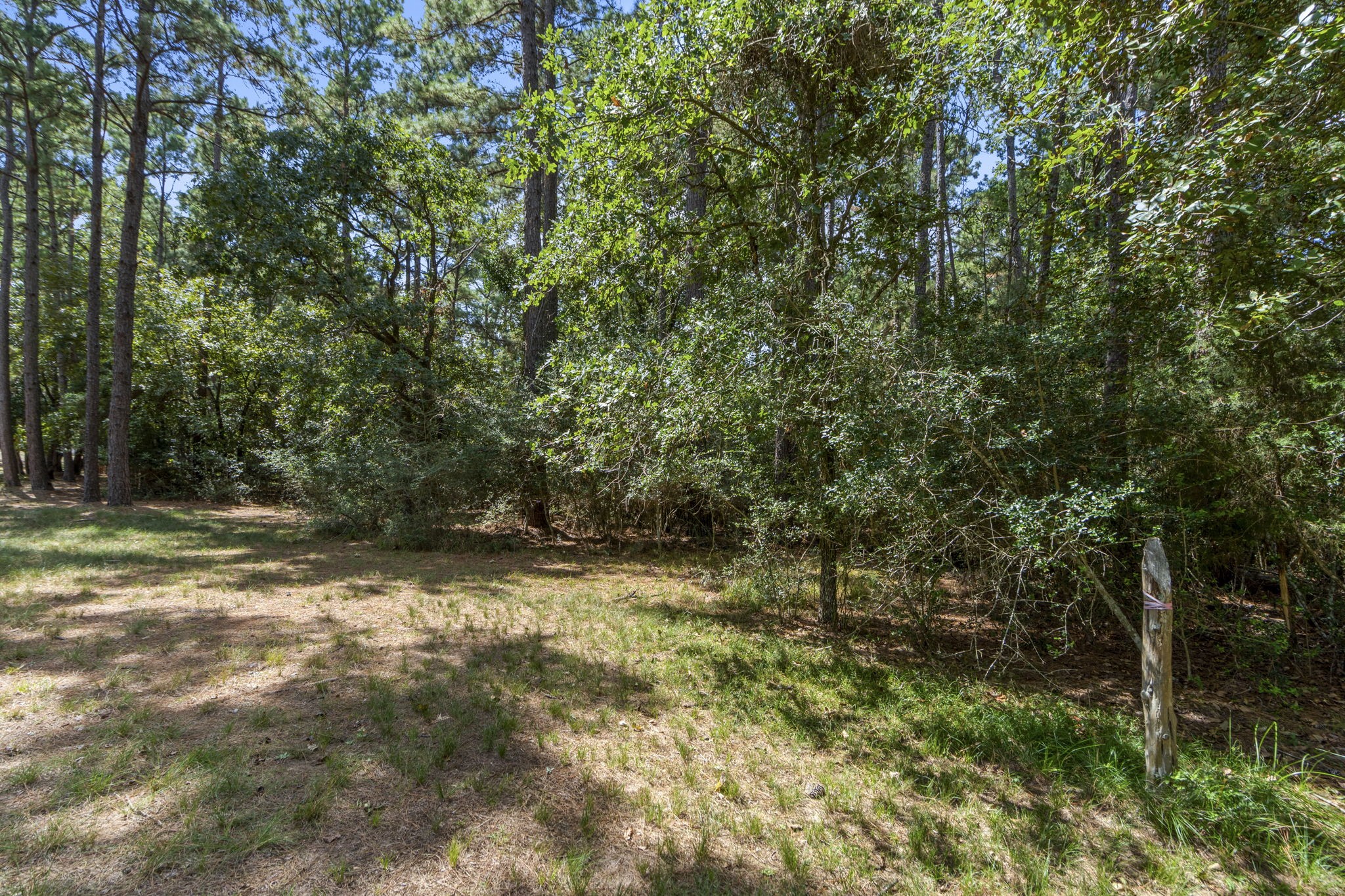 37432 Clubhouse Lane Montgomery TX 77355