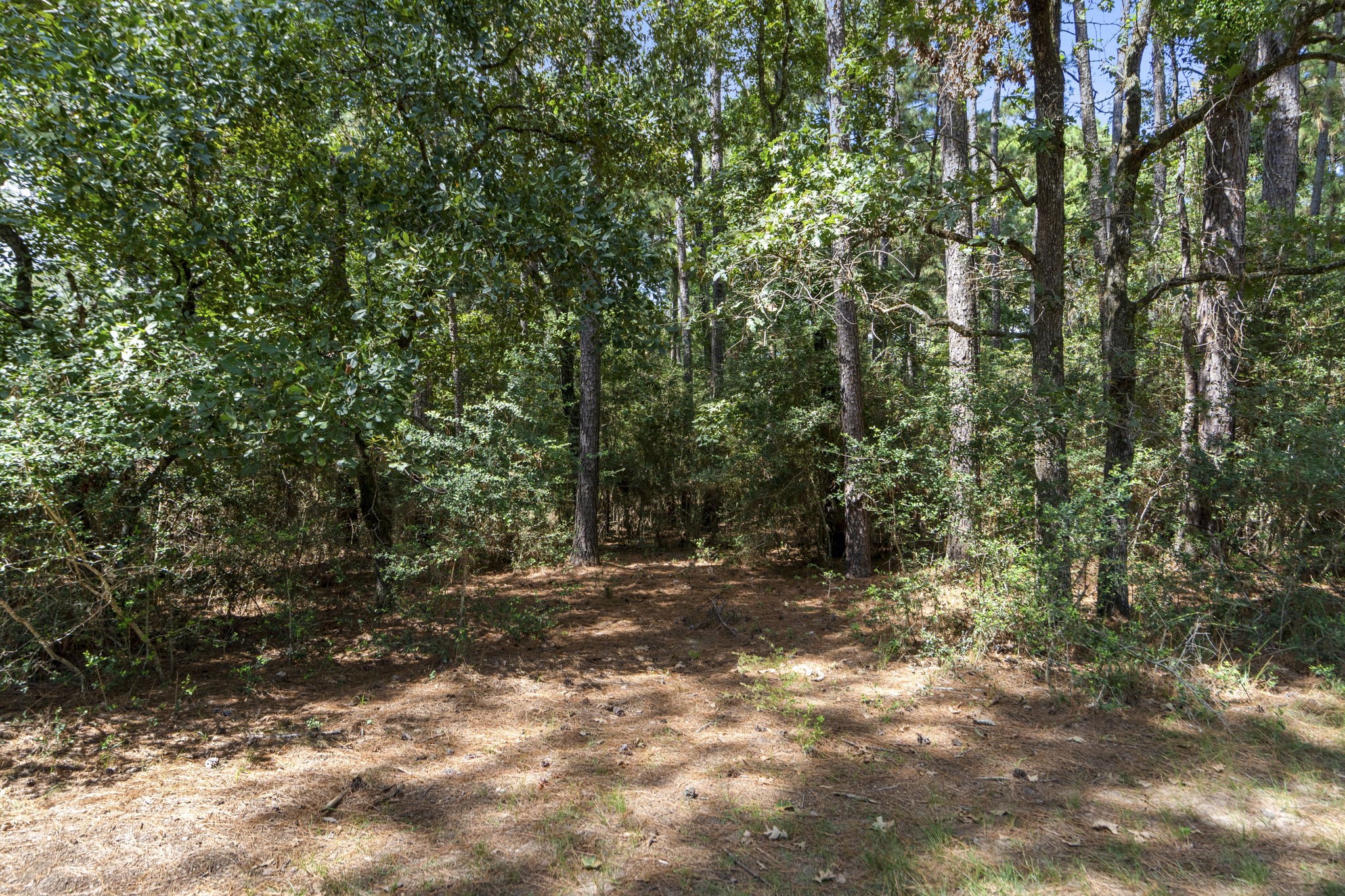 37432 Clubhouse Lane Montgomery TX 77355