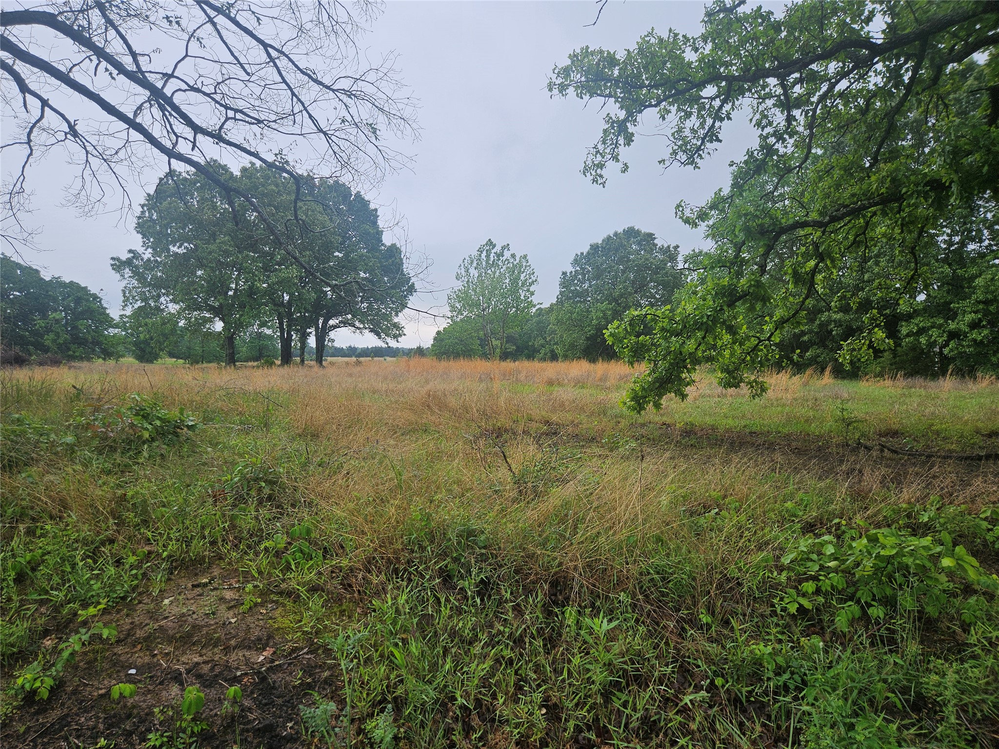 139 Cr 34710 Paris TX 75460