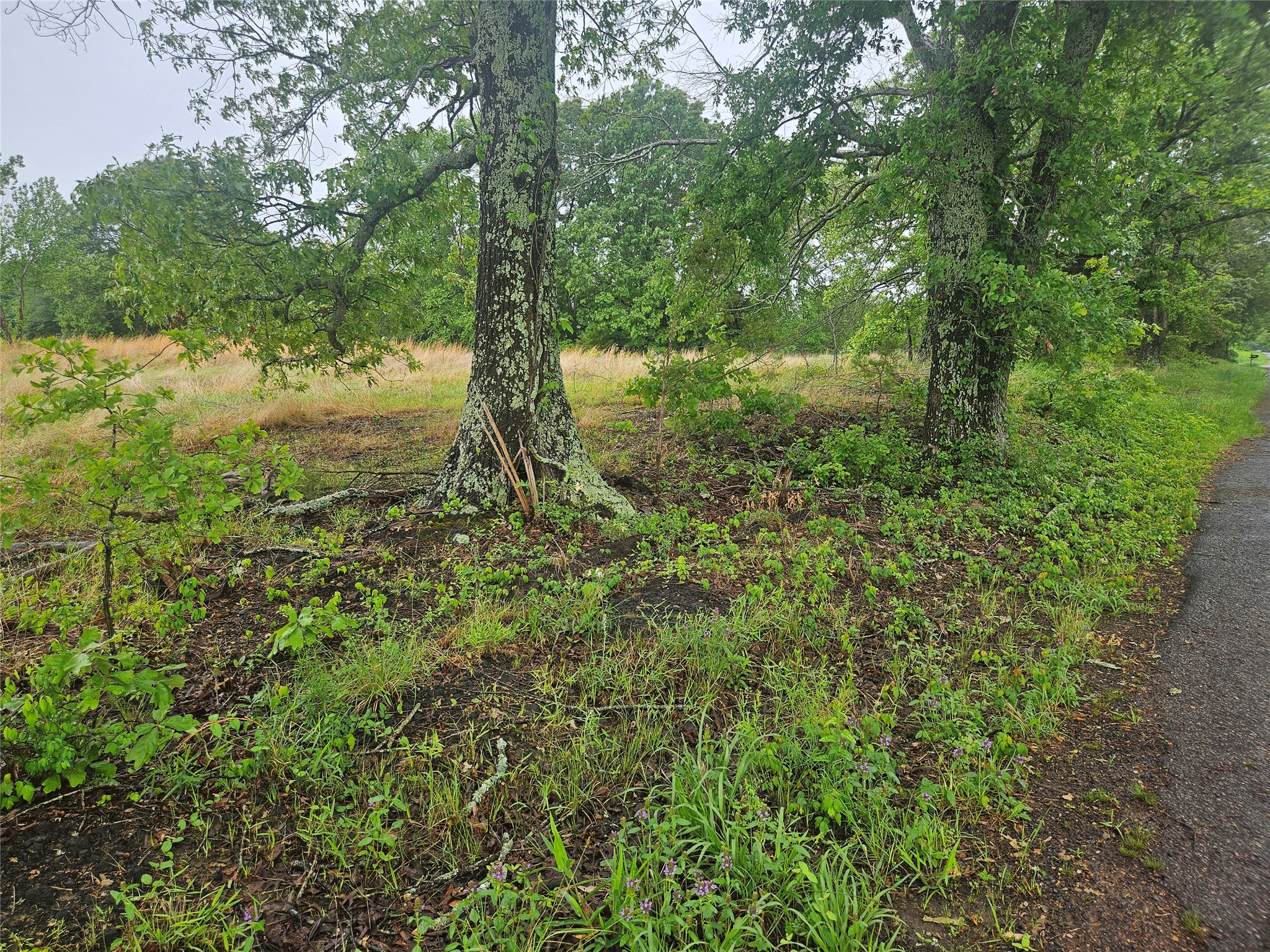 139 Cr 34710 Paris TX 75460