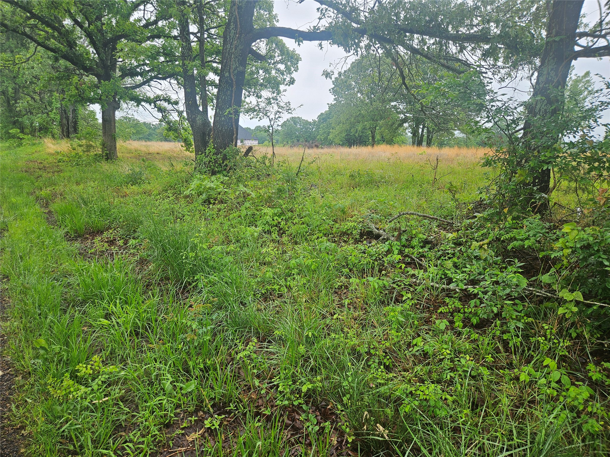 139 Cr 34710 Paris TX 75460