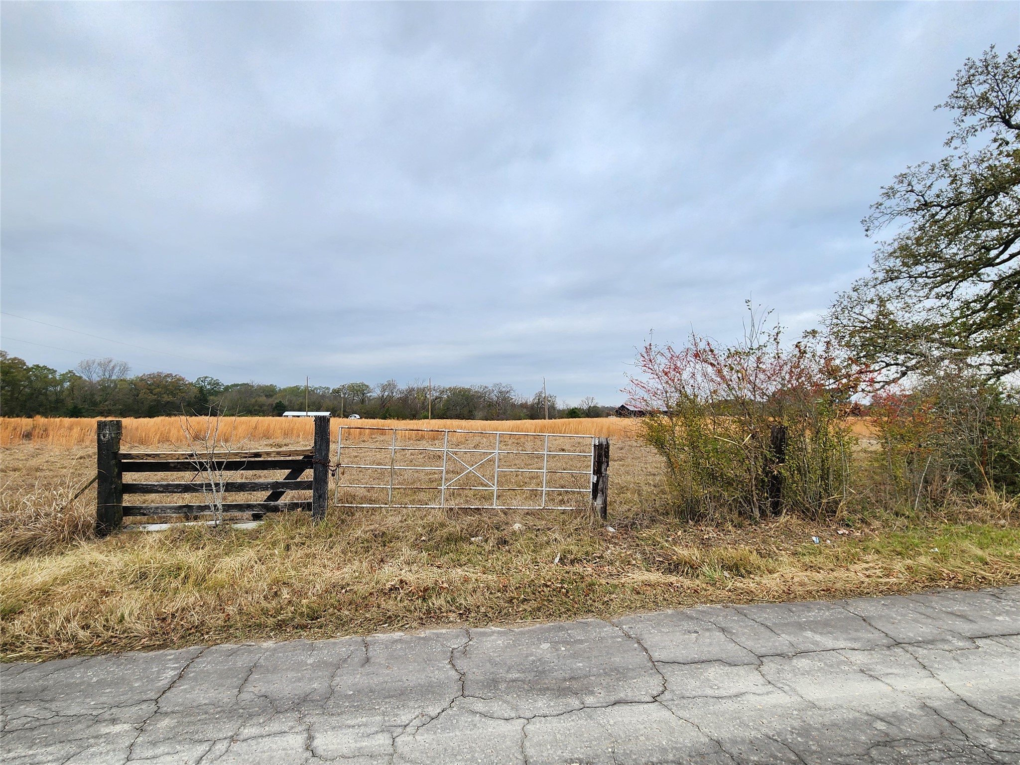 Tbd Cr 2230 Mineola TX 75773