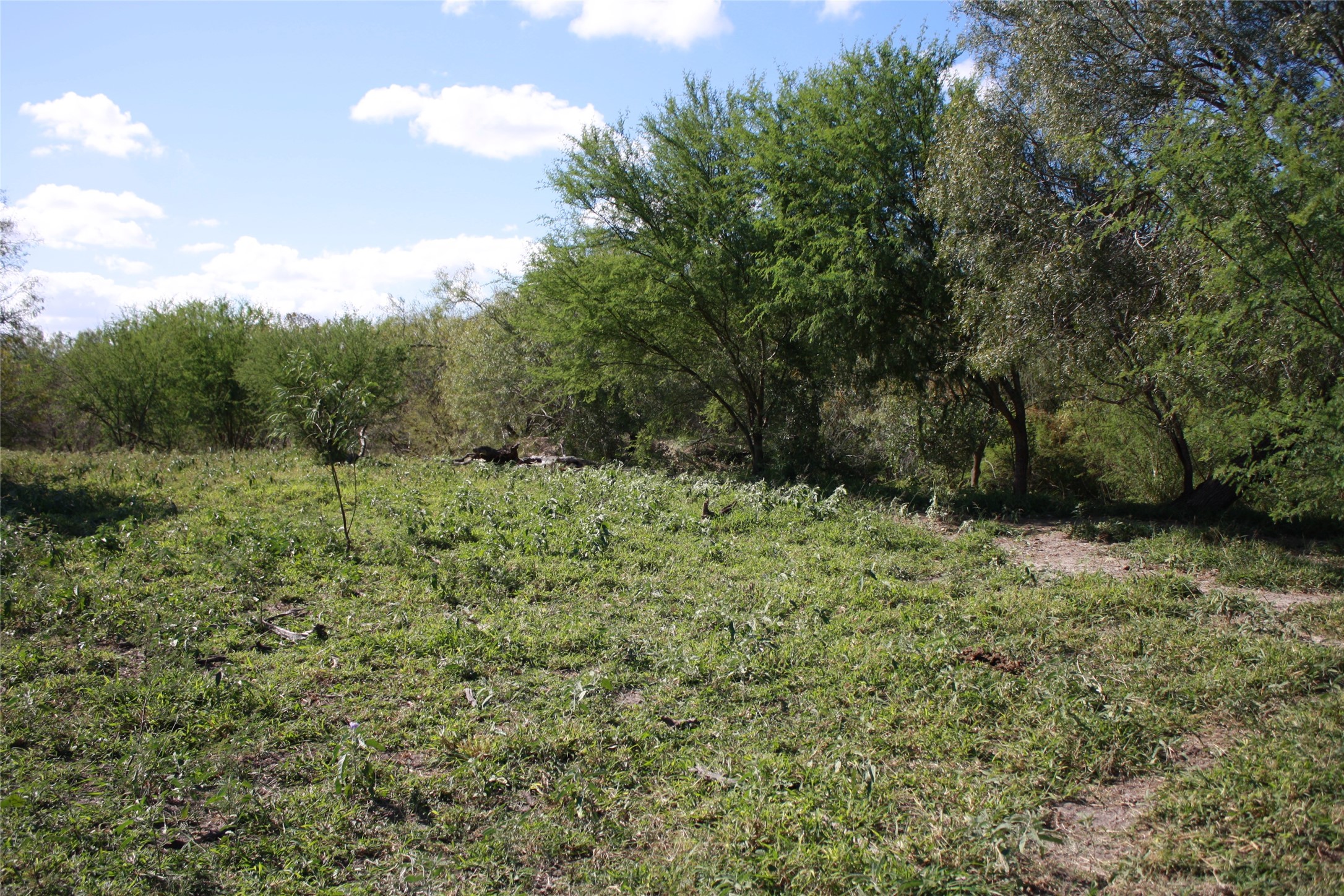 14135 County Road 1144 Sinton TX 78387