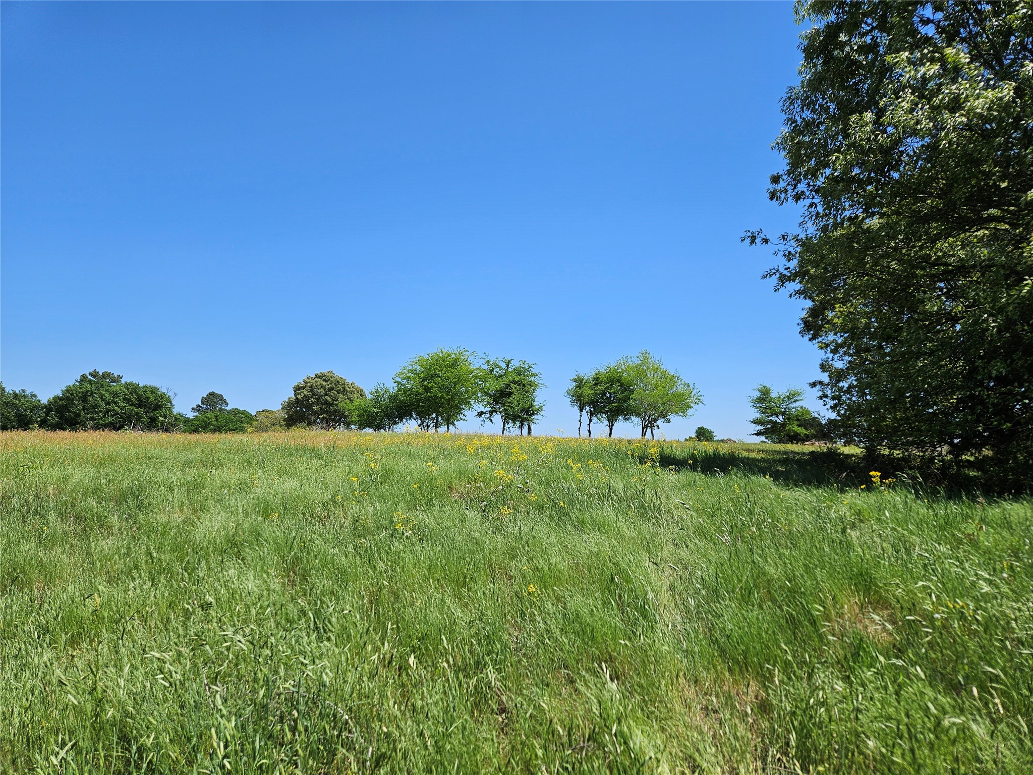 Tbd Fm 317 Chandler TX 75758