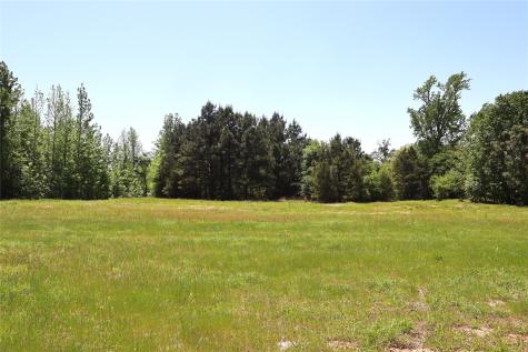 Tbd Fm 317 Chandler TX 75758