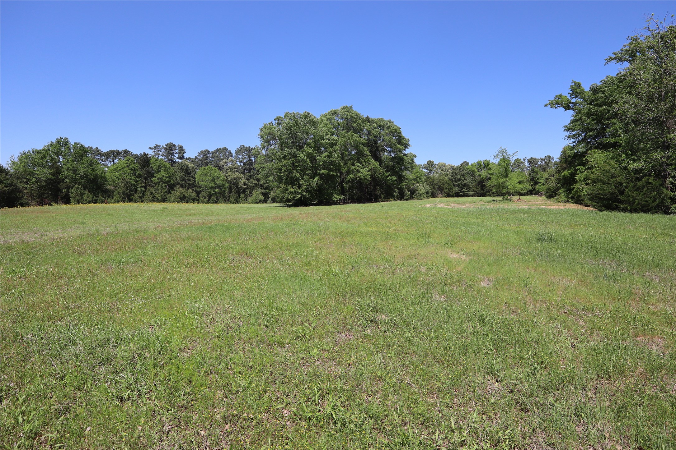 Tbd Fm 317 Chandler TX 75758