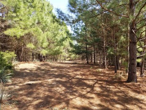 Tbd Fm 317 Chandler TX 75758